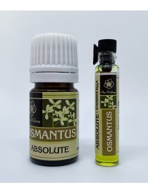 OSMANTUS ABSOLUTE EĻĻA