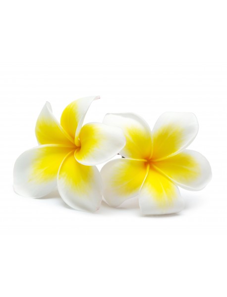 FRANGIPANI ABSOLUTE EĻĻA