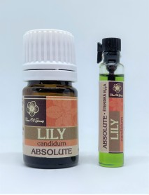 LILIJU  ABSOLUT  EĻĻA