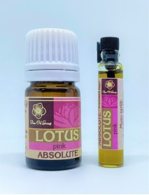 LOTOSA ABSOLUT EĻĻA