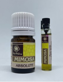 MIMOSA ABSOLUTE EĻĻA